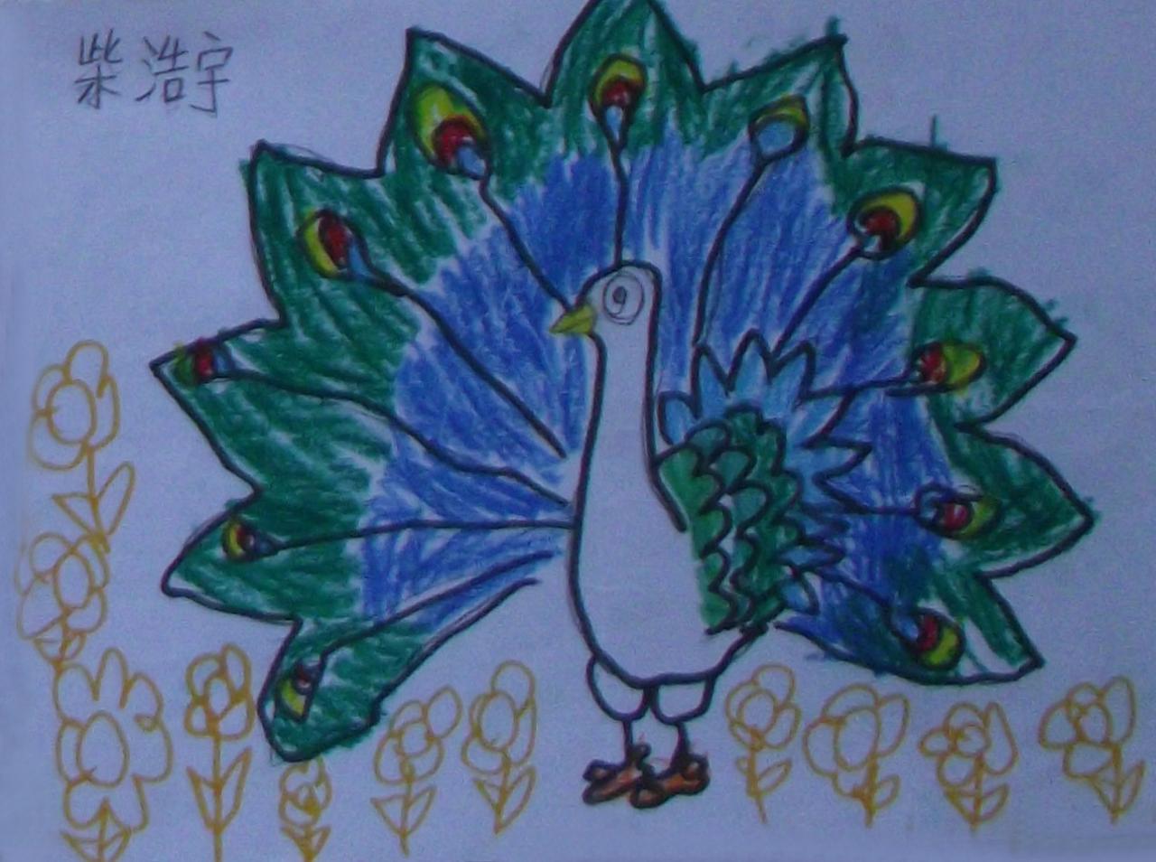 孔雀开屏 柴浩宇画