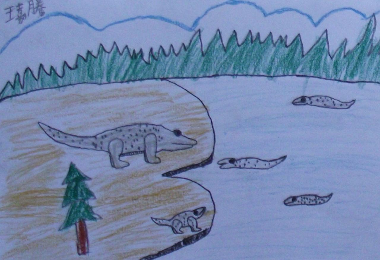 鳄鱼 王嘉腾画