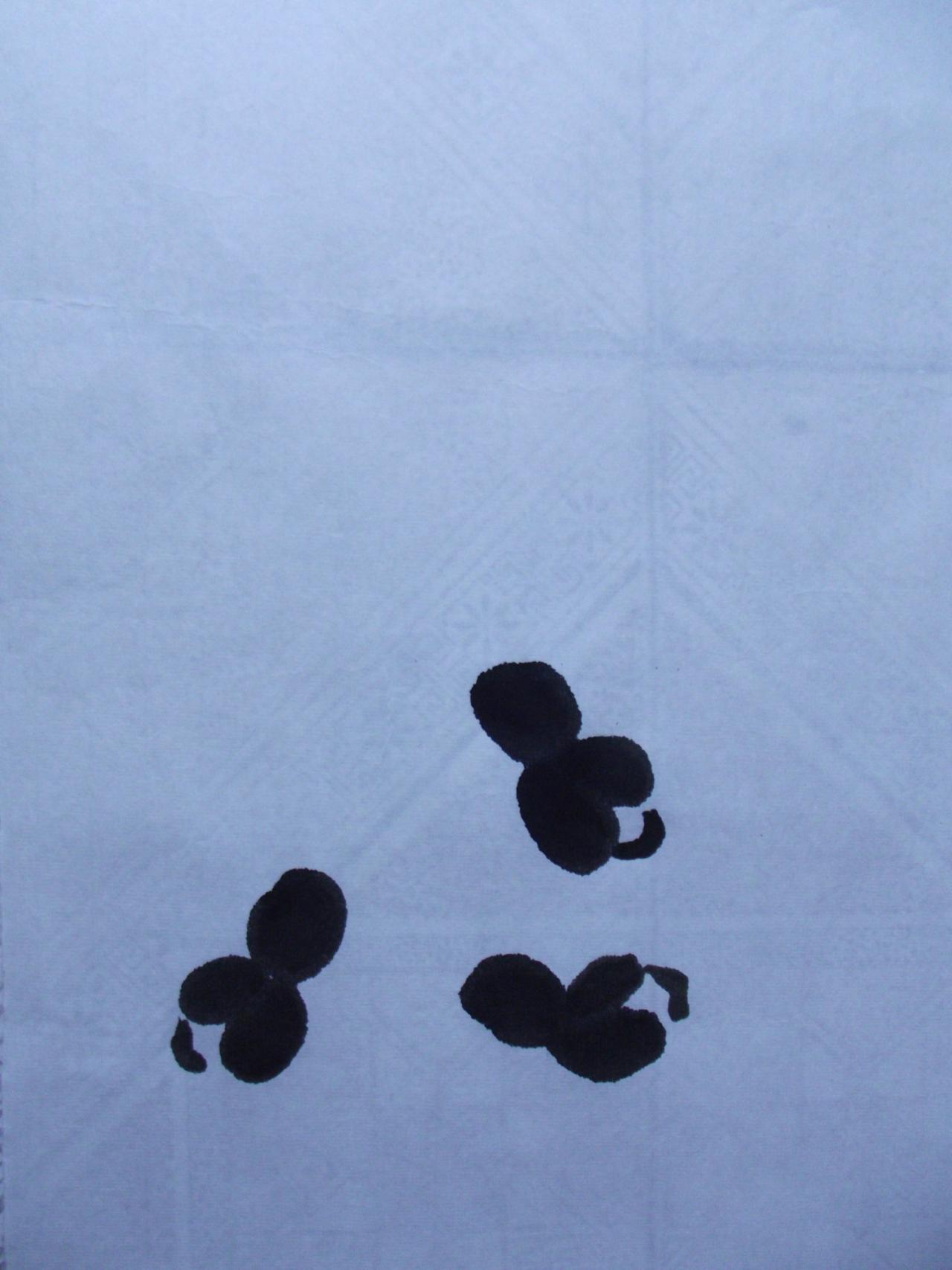 第一步，画头、翅膀和尾巴