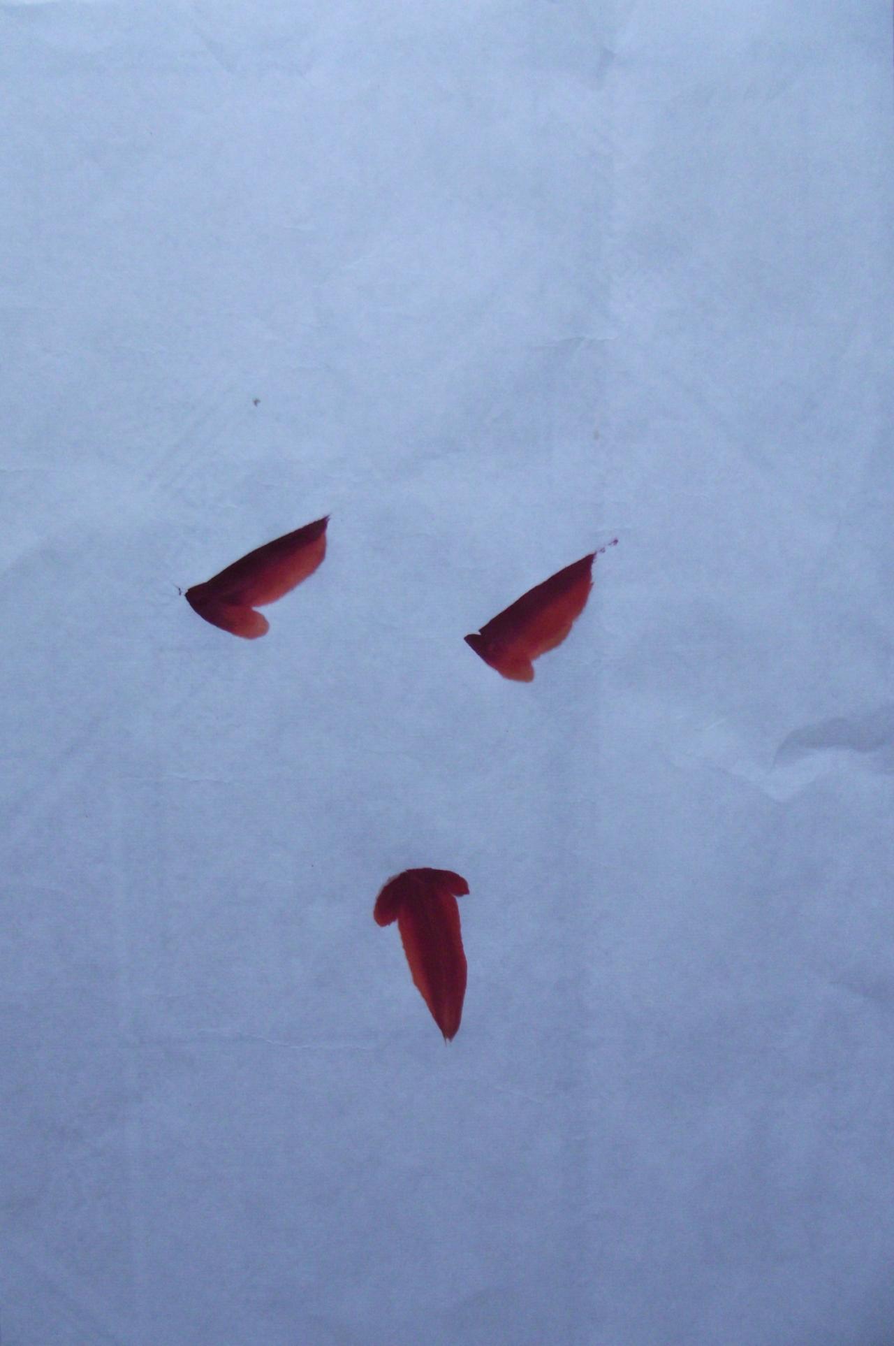 第一步，画鱼鳃和后背