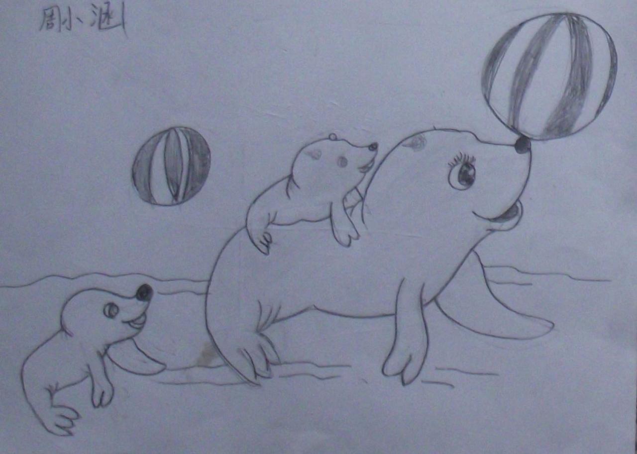 海狮母子顶球 周小涵画