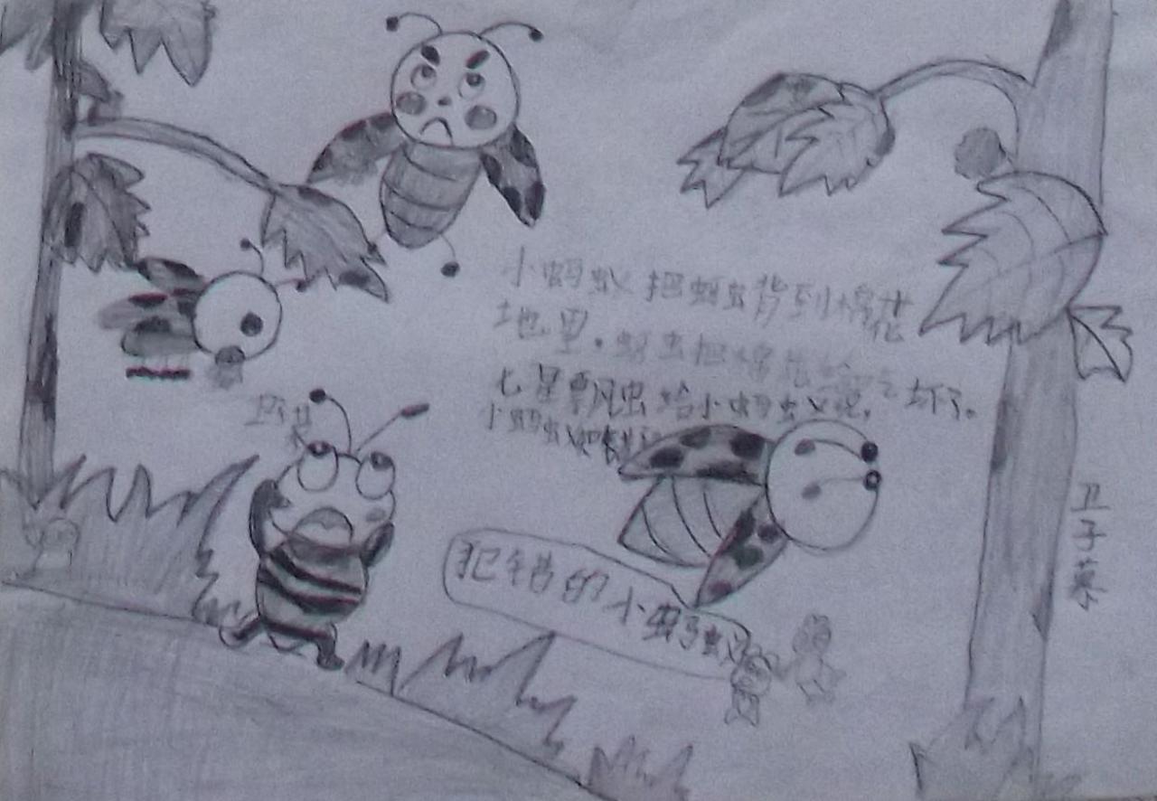犯错的小蚂蚁和瓢虫 卫子慕画