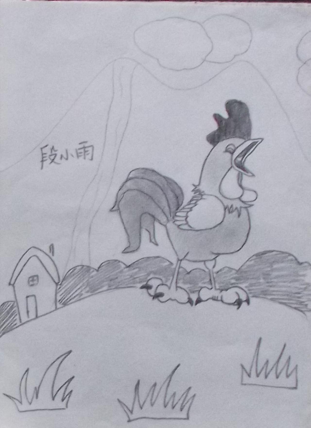 公鸡打鸣 段小雨画
