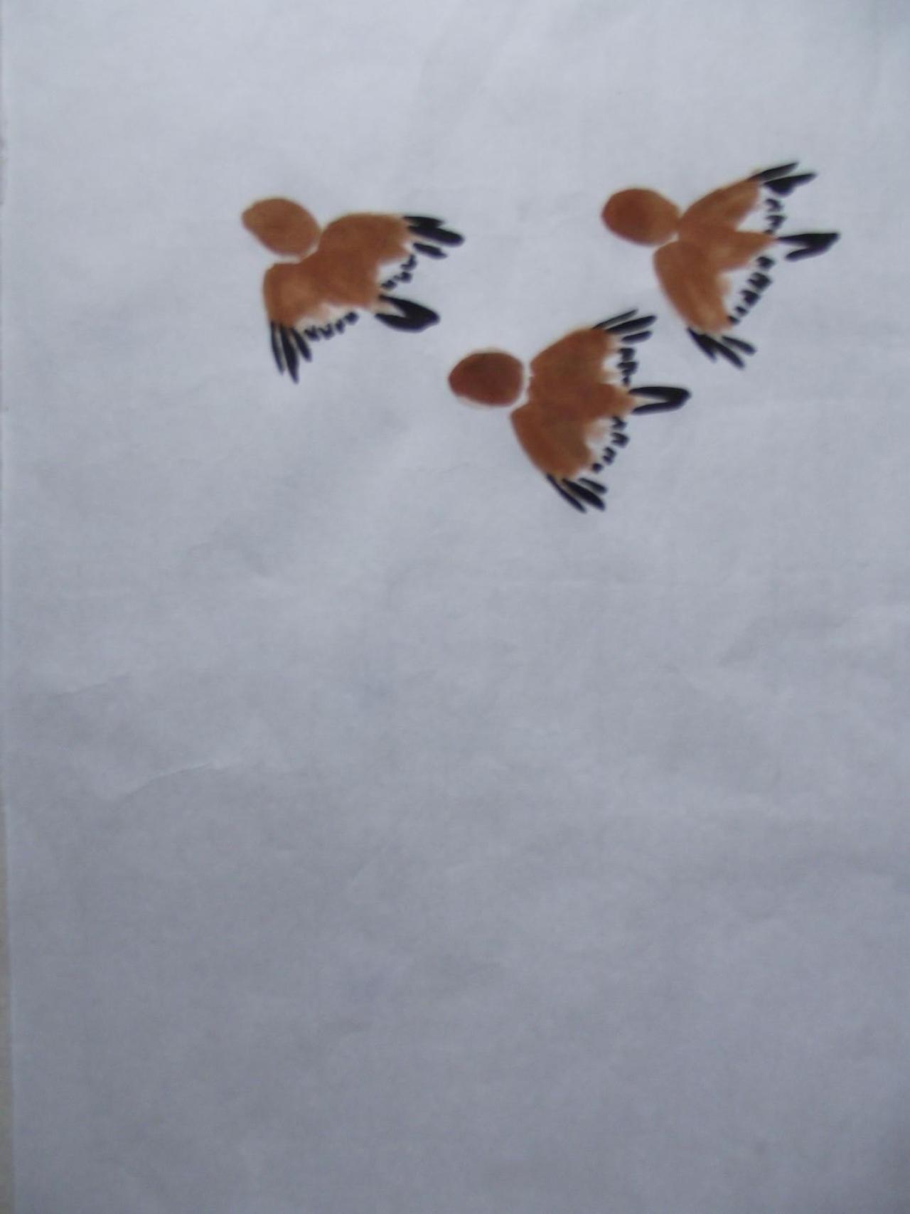 第二步，画飞羽及尾羽