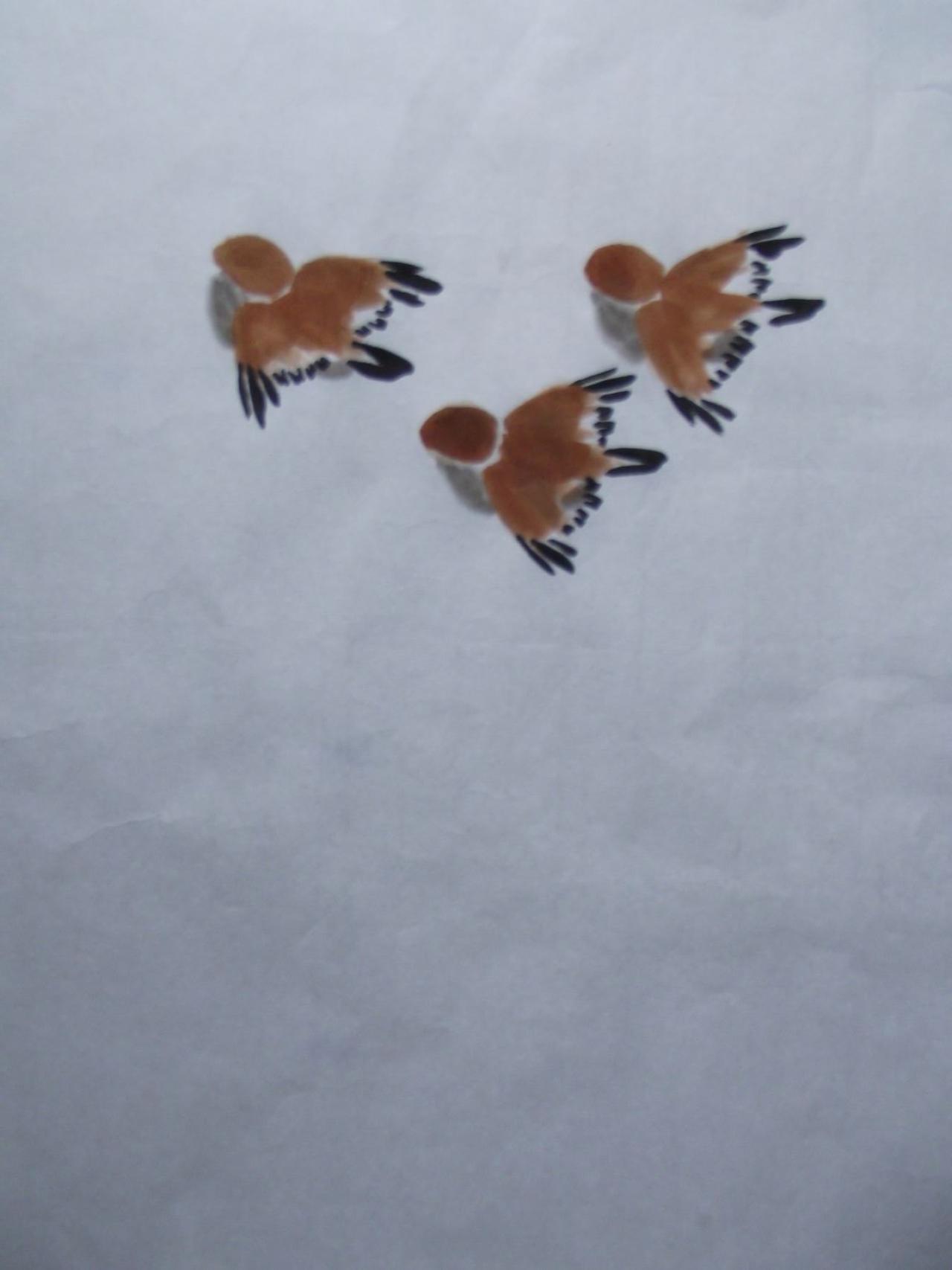 第三步，画胸、腹部