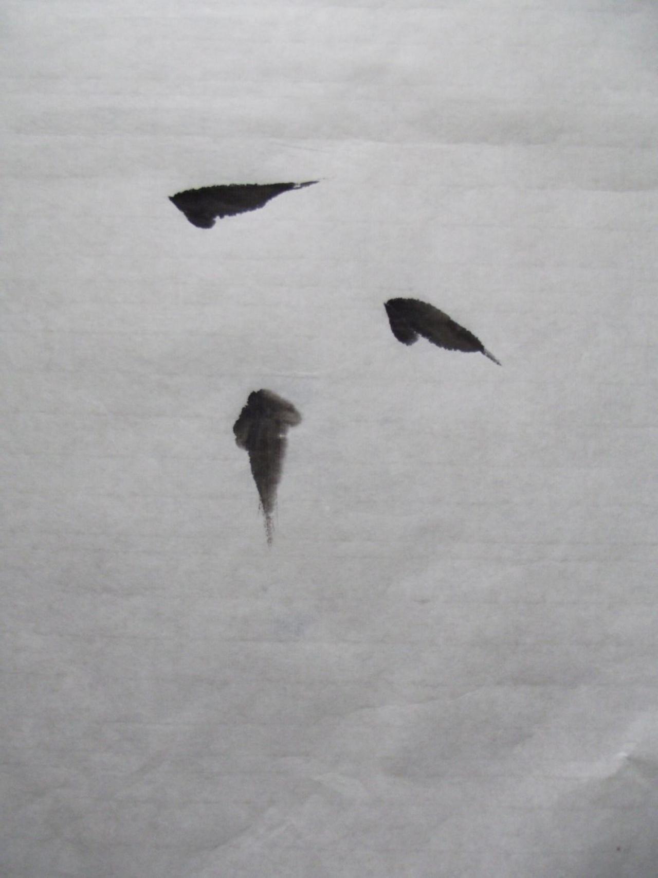 第一步,画鱼鳃和鱼背