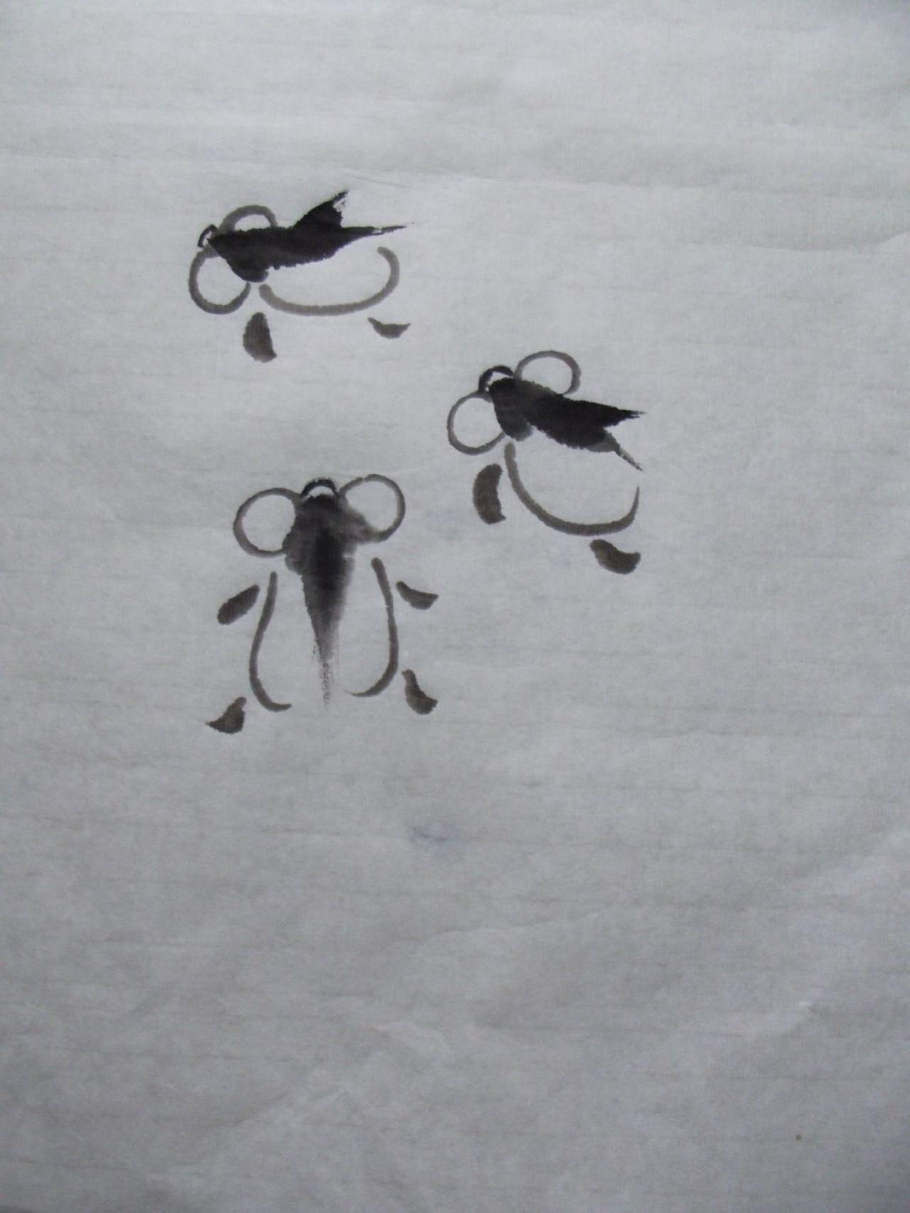 第三步,画鱼的背鳍,鱼肚和鱼的胸腹鳍