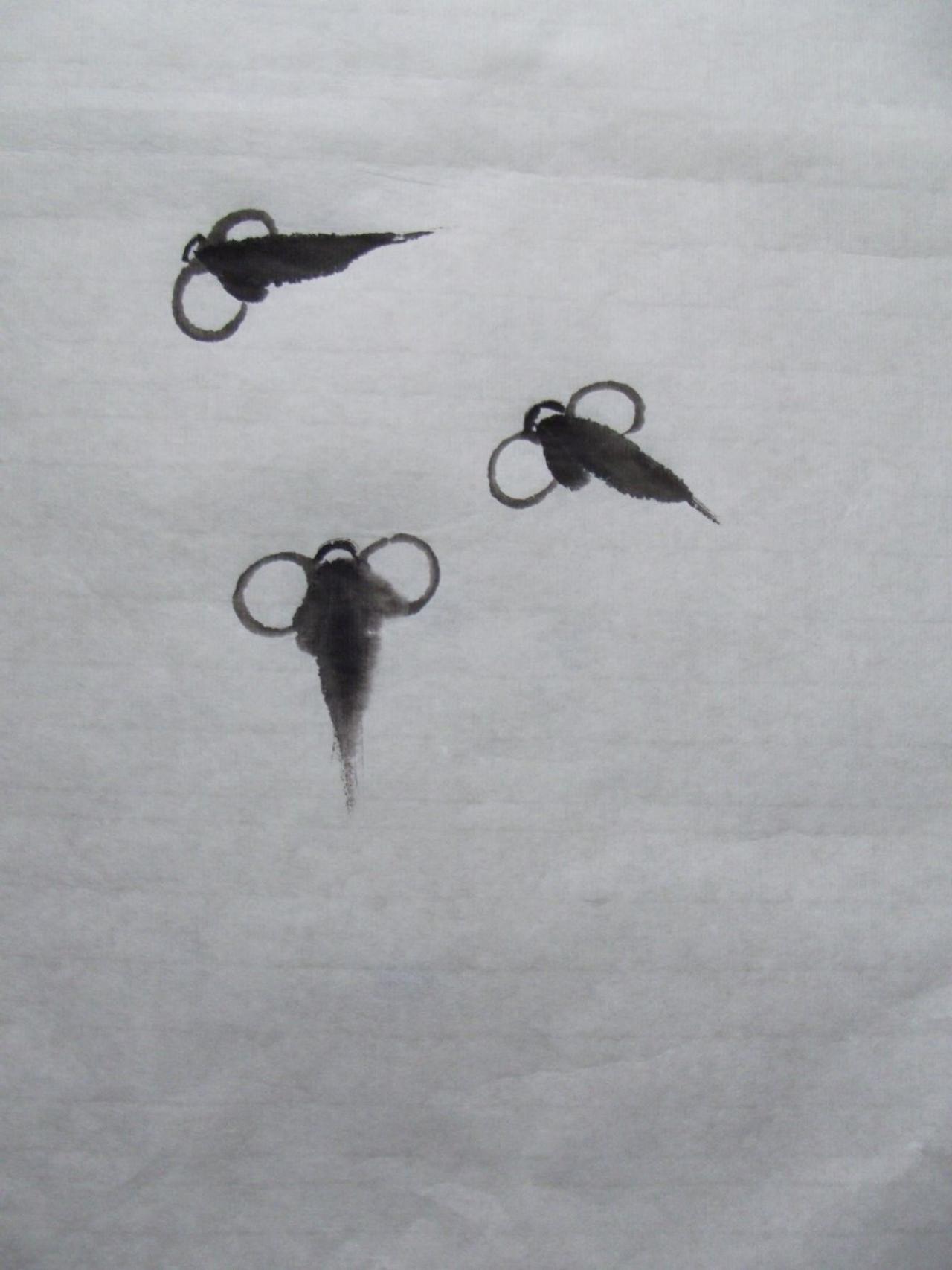 第二步,画鱼眼睛和嘴