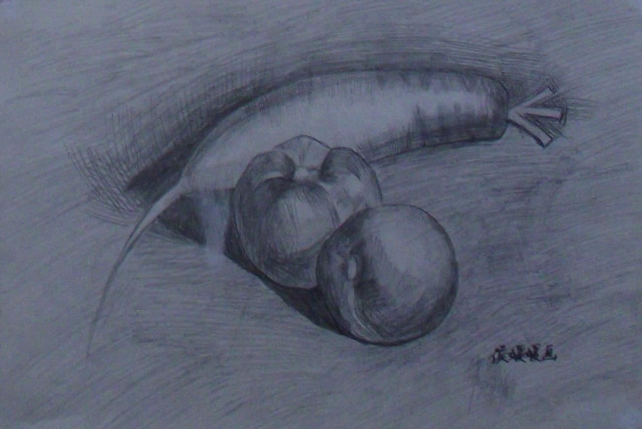 萝卜、西红柿静物素描 侯媛媛画