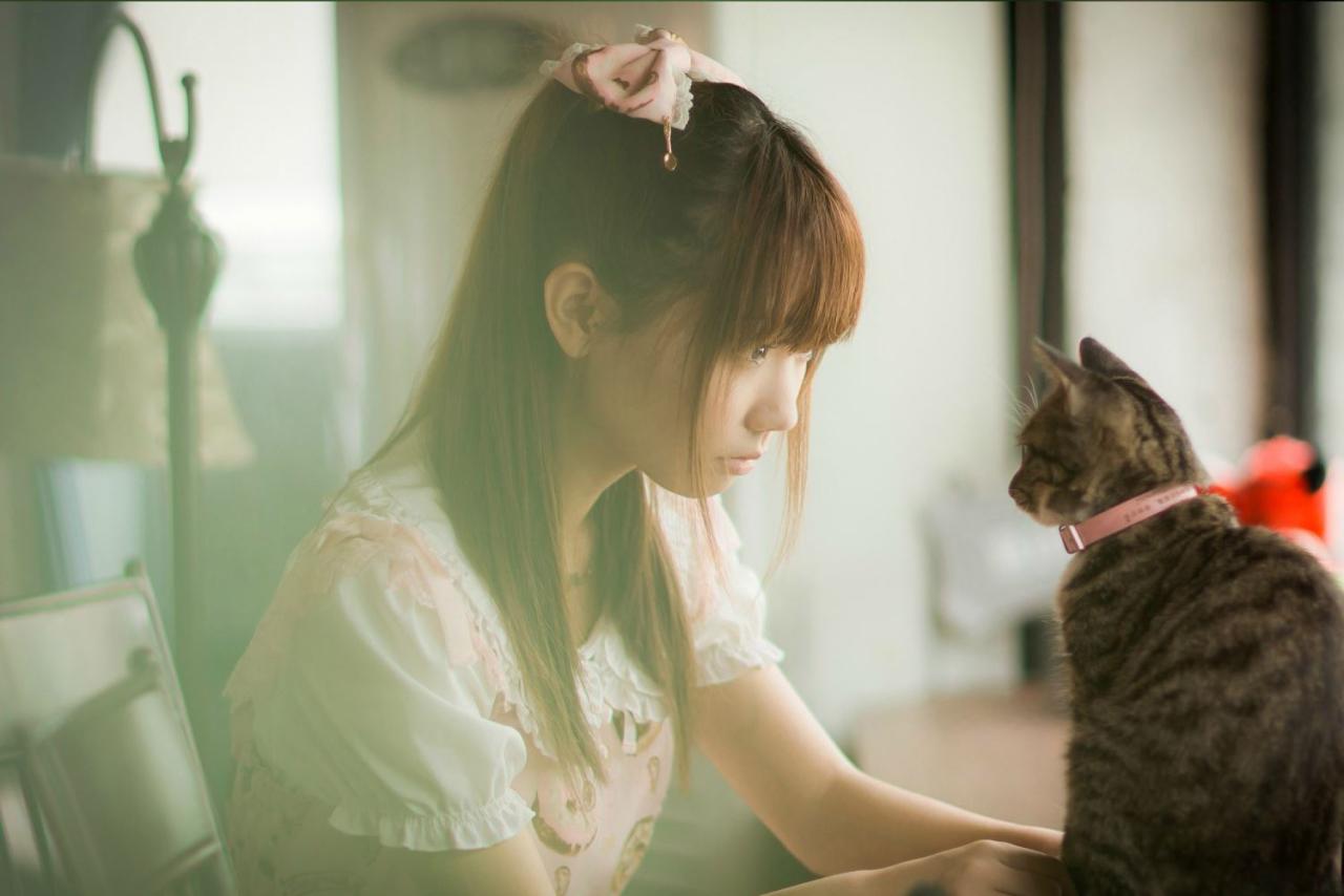 圆辛子和小猫咪对视着