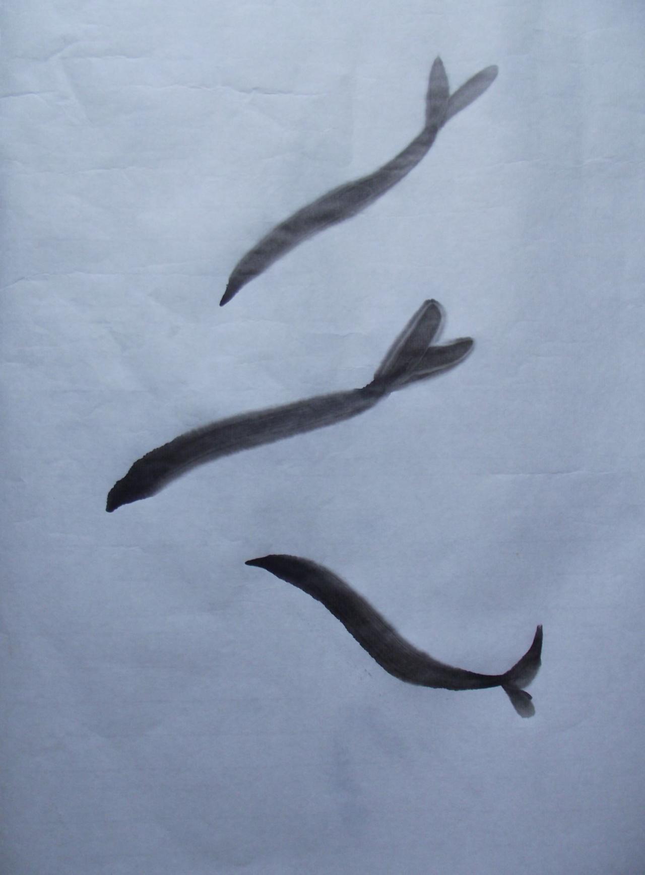 第一步，画鱼背、鱼尾