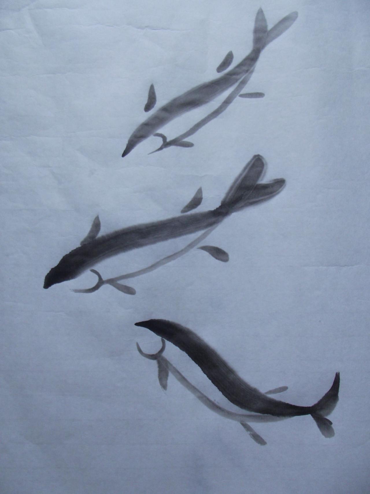 第三步，画鱼鳃和鱼鳍