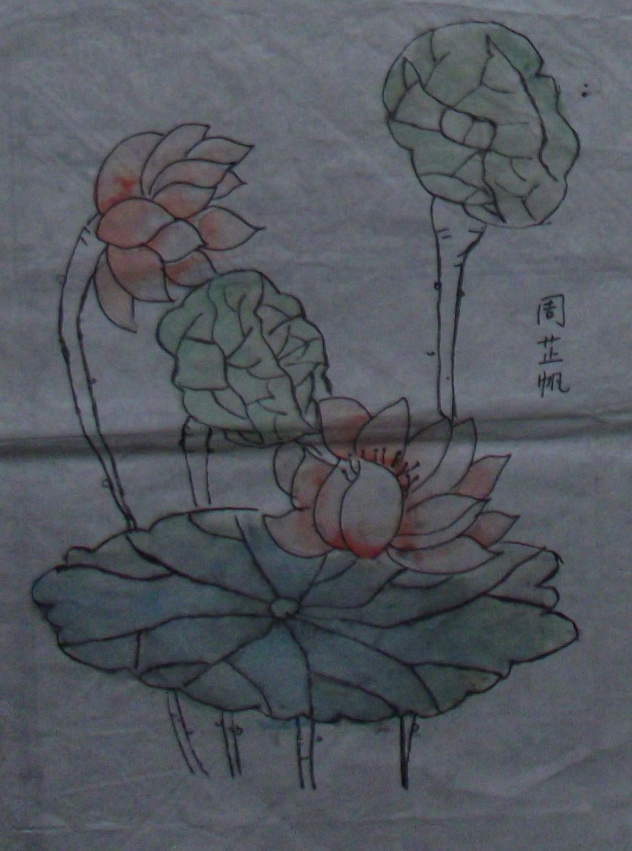 荷花 周芷帆画