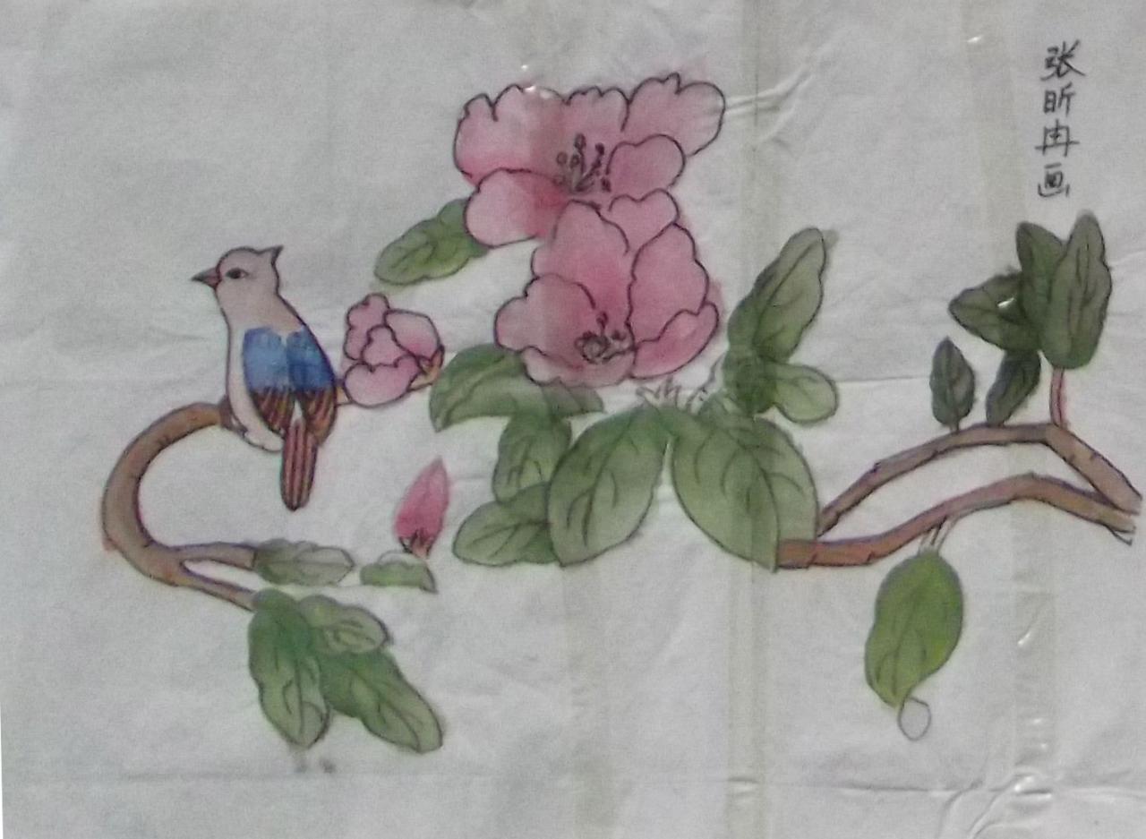 一枝之栖 张昕冉画