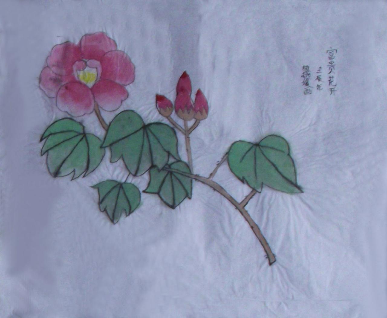 富贵花开 敬越媛画