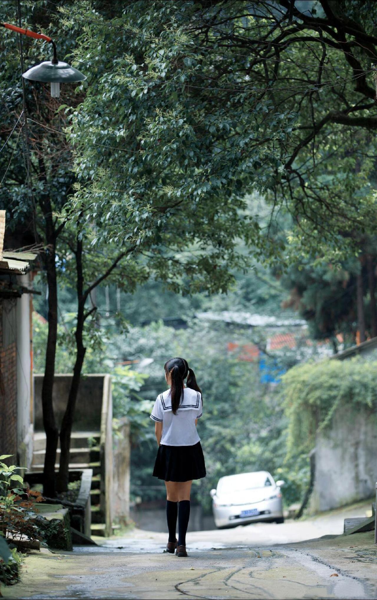 机智草纸走在林荫小道的背影