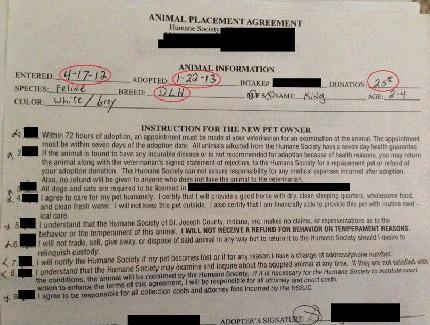 招财猫的身份证件