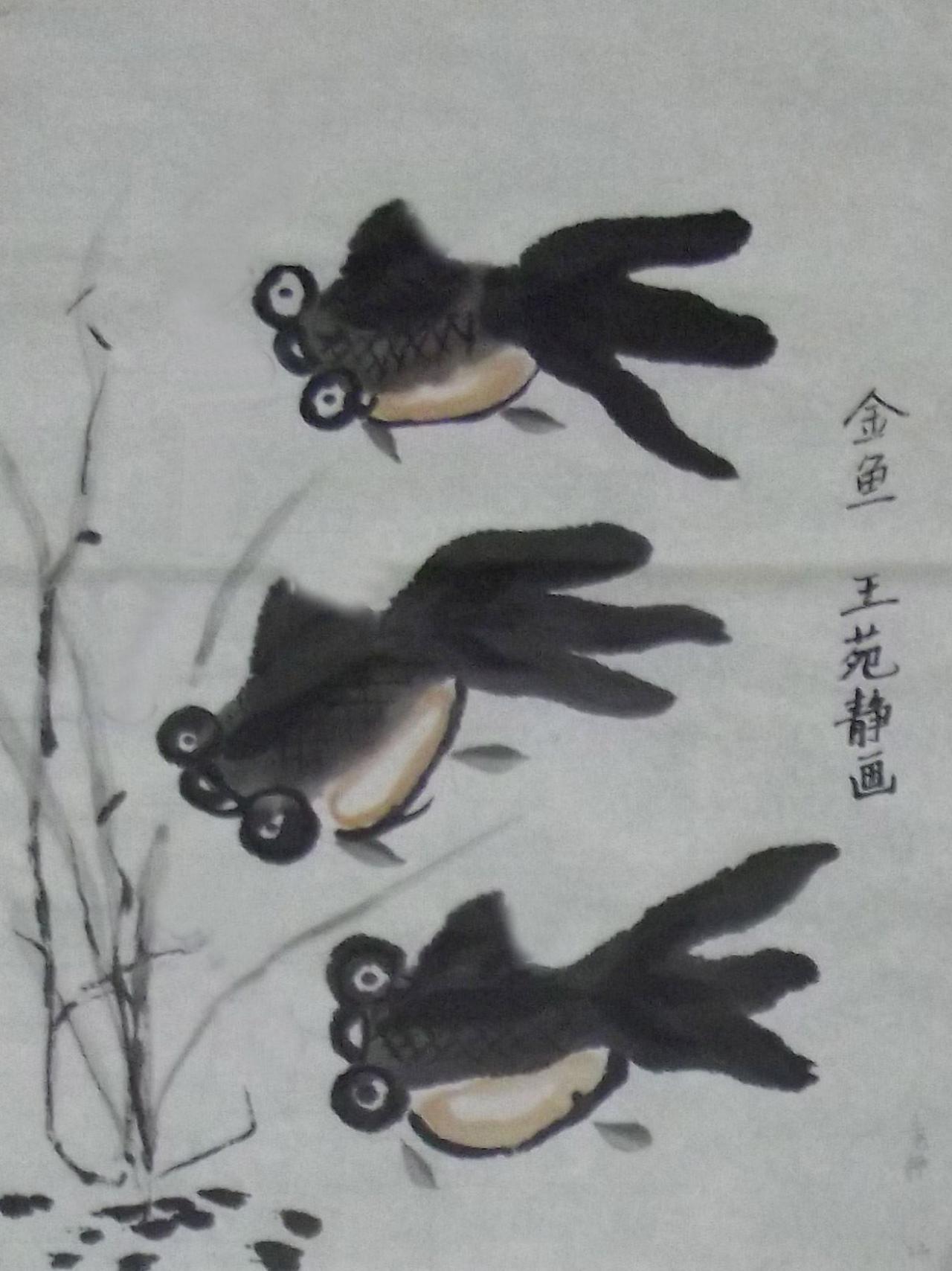 金鱼 王苑静画