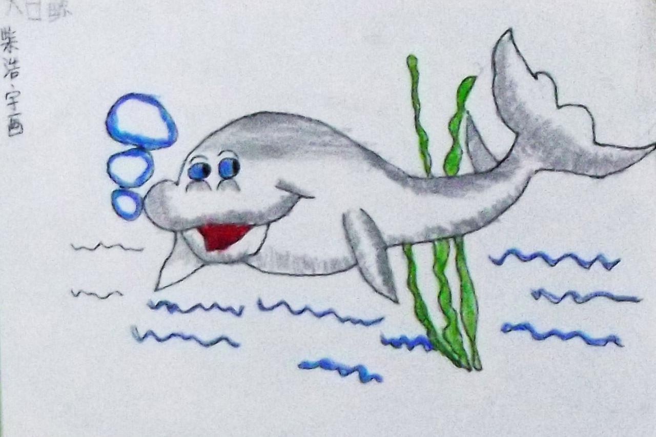 大白鲸 柴浩宇画