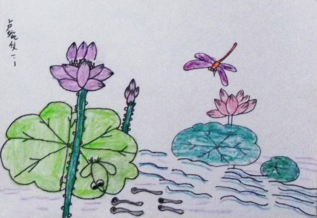 蜻蜓荷花 卢婉仪画