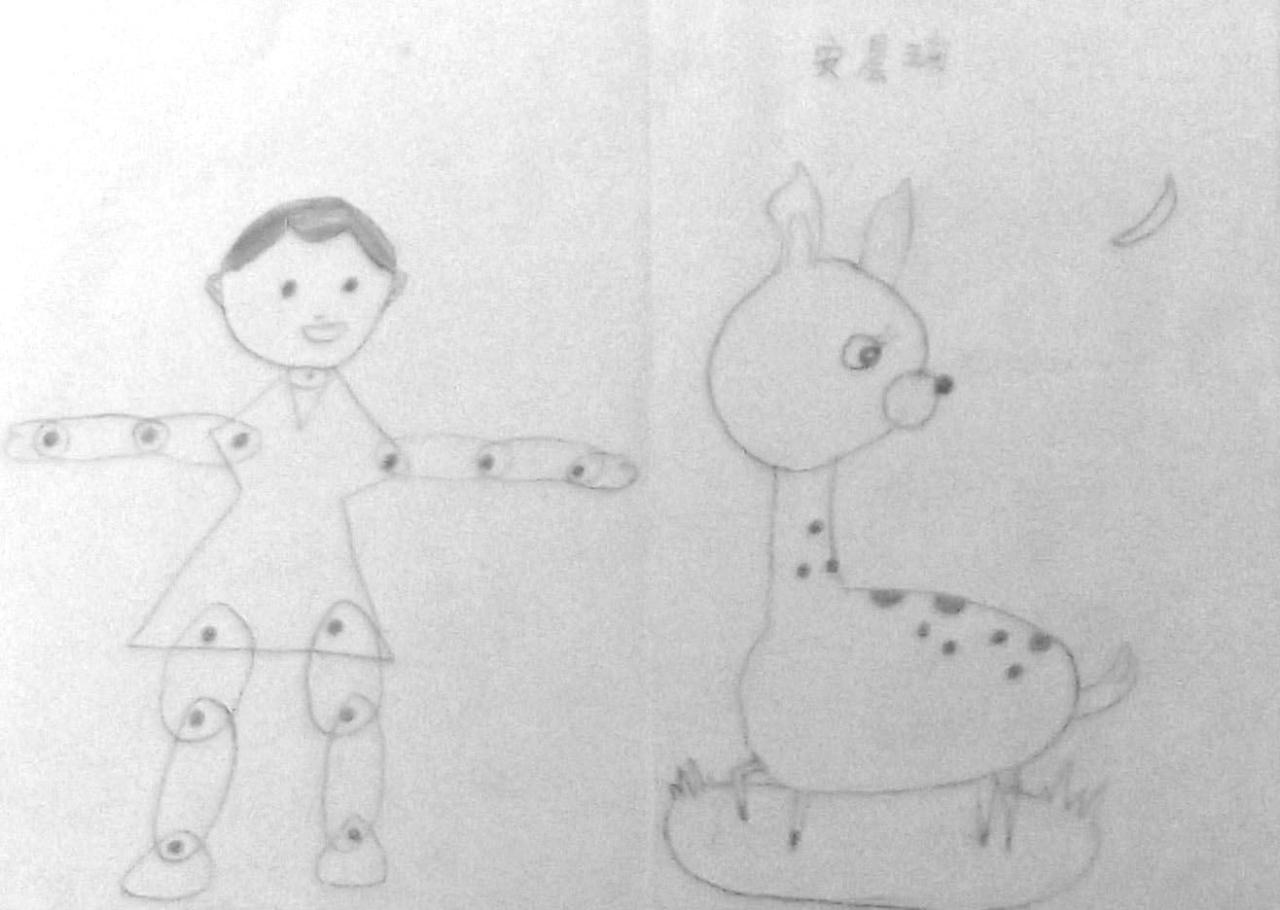 人物关节和小鹿 安晨瑜画