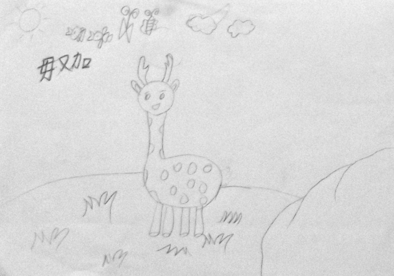 小鹿 毋又加画