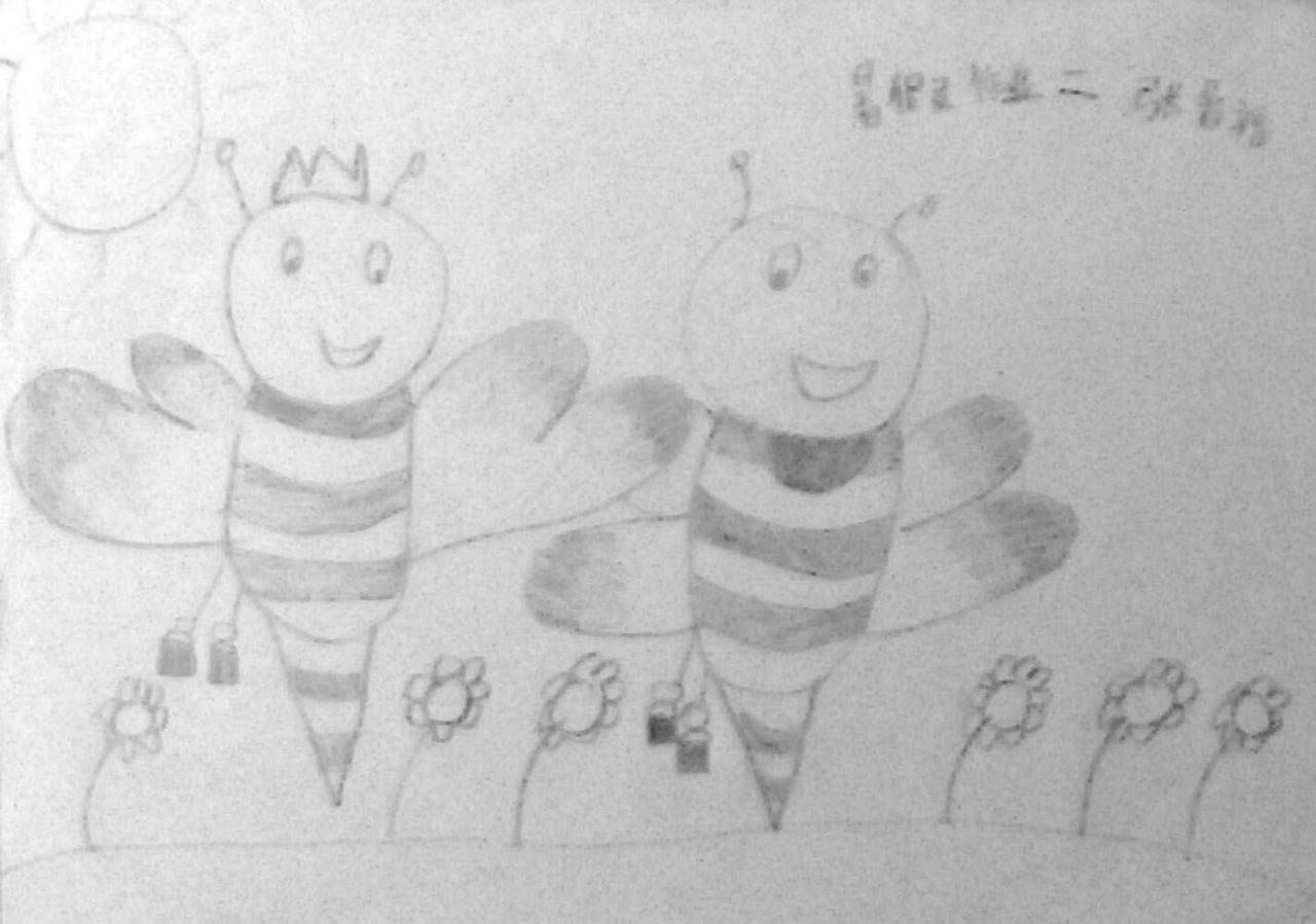 暑假作业二 小蜜蜂 张晋福画