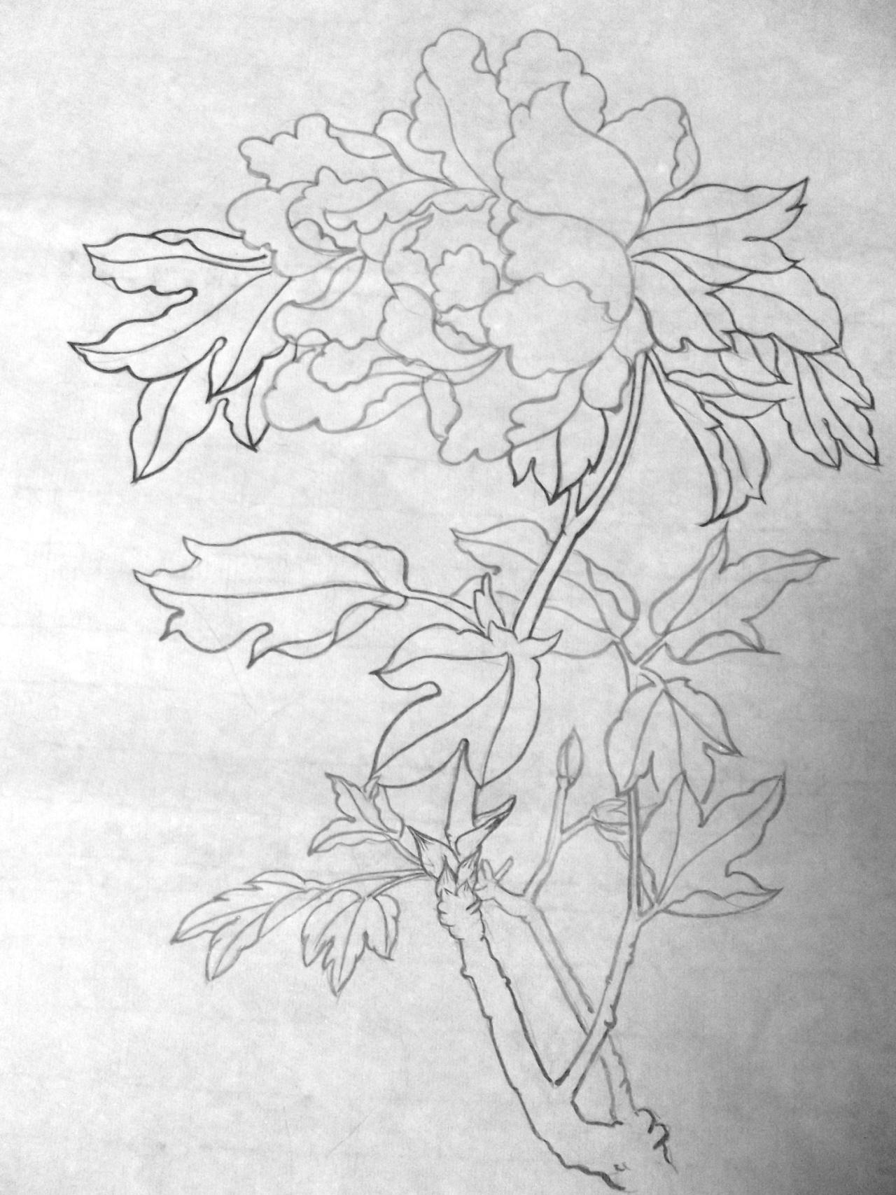 第一步，勾墨线