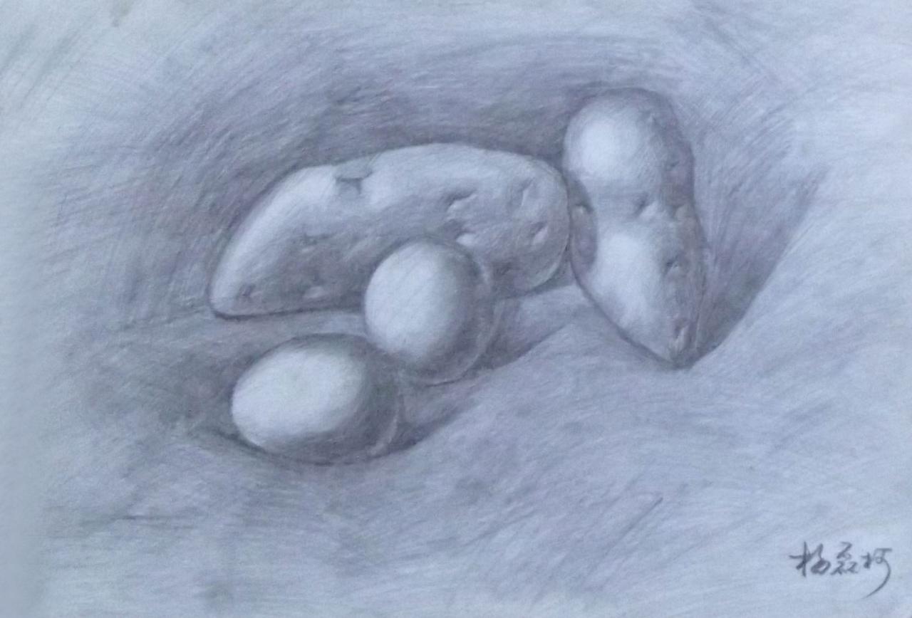 土豆和鸡蛋静物组合 杨磊柯画