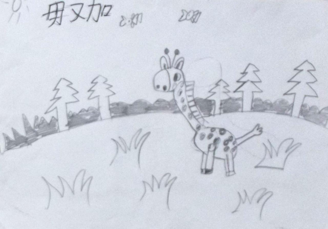 长颈鹿 毋又加画