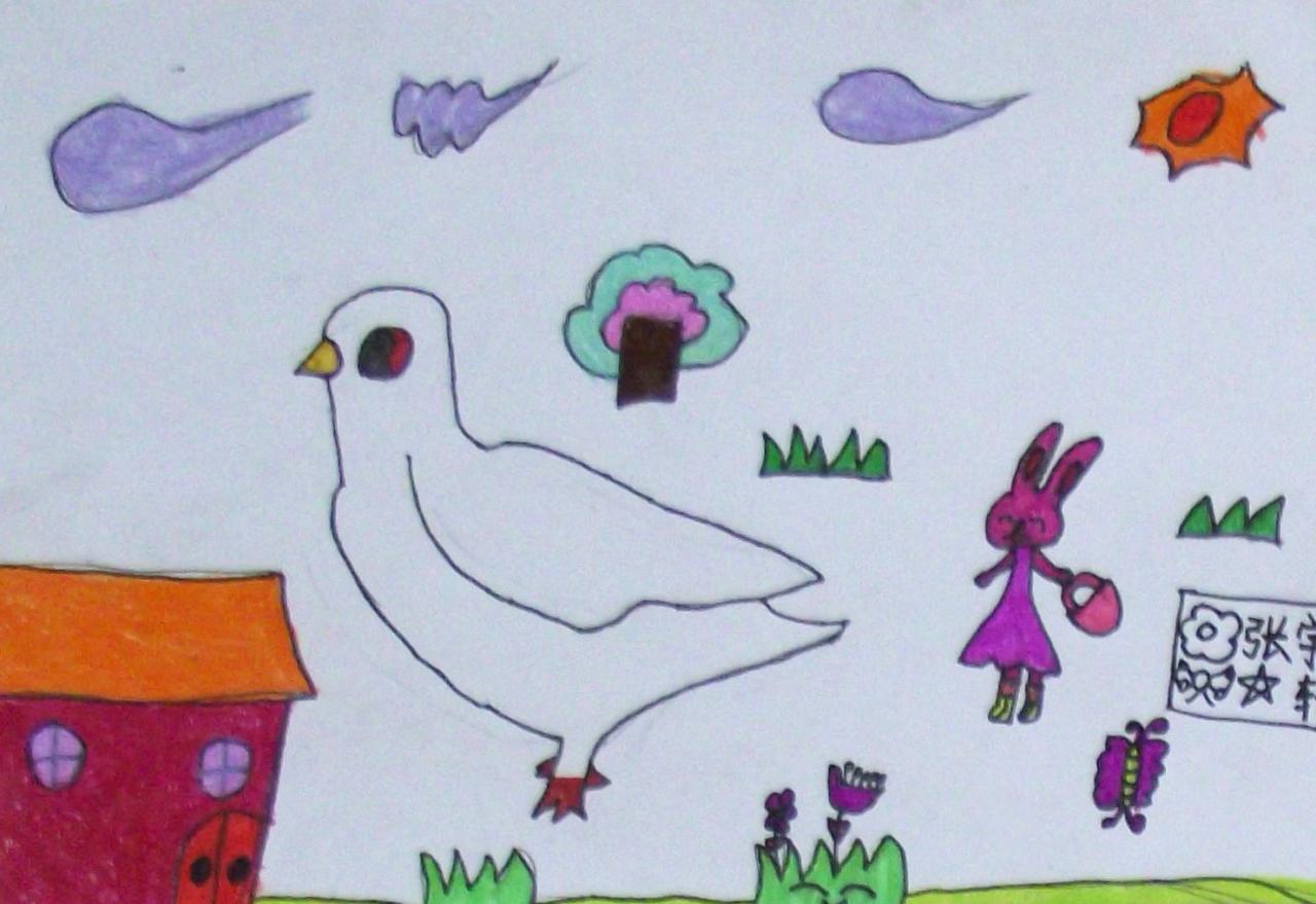 鸽子 张宇轩画