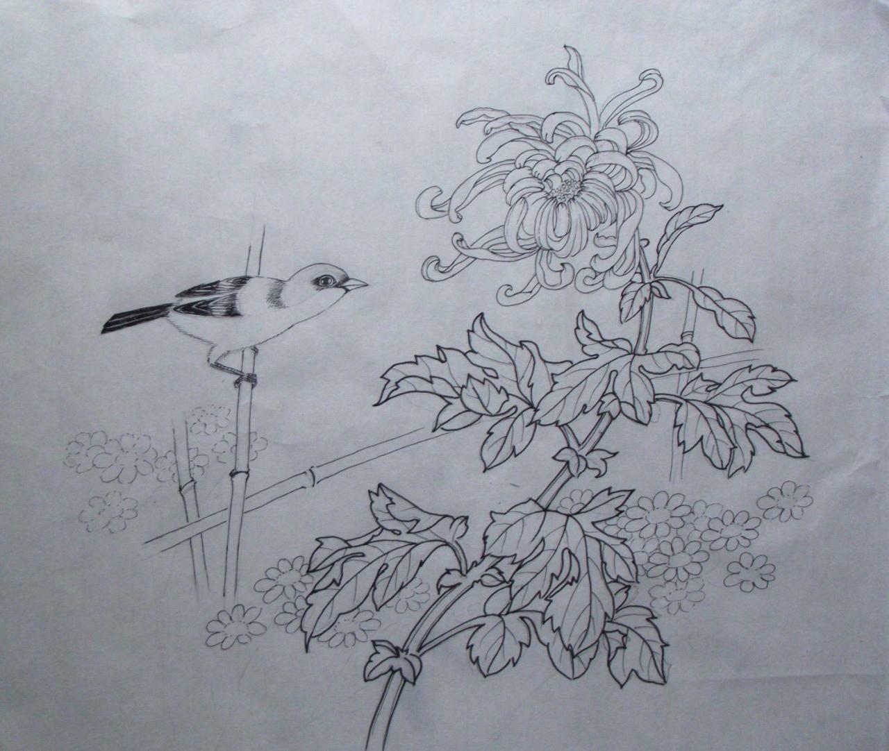 第二步，勾白描稿