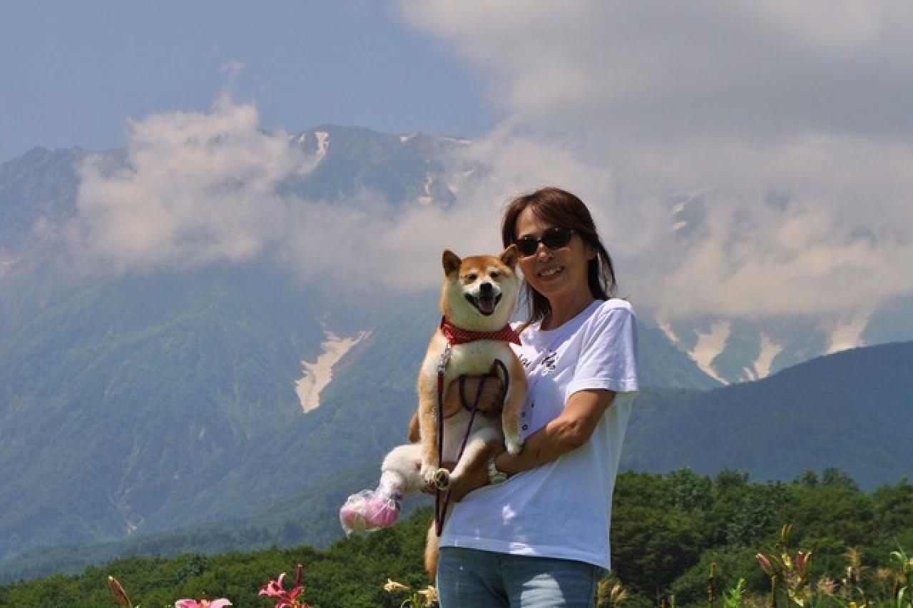 主人Atsuko Sato戴着墨镜和小黄狗Doge在山上的合照