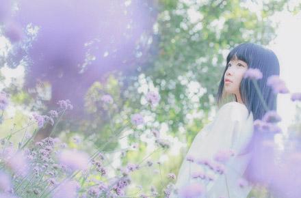 鳄鱼同学在薰衣草的花海中侧面照