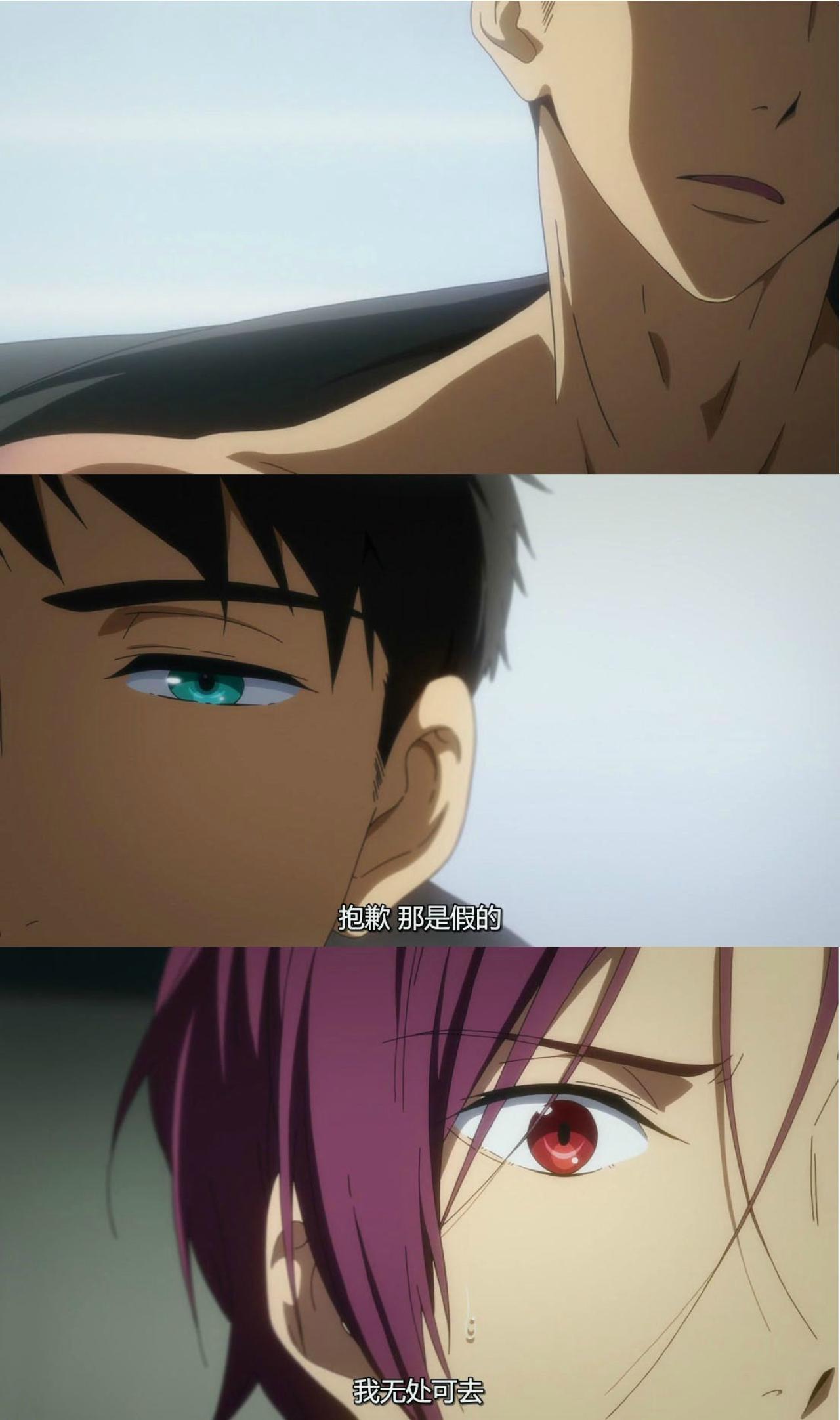宗凛对白：抱歉，那是假的，我无处可去
