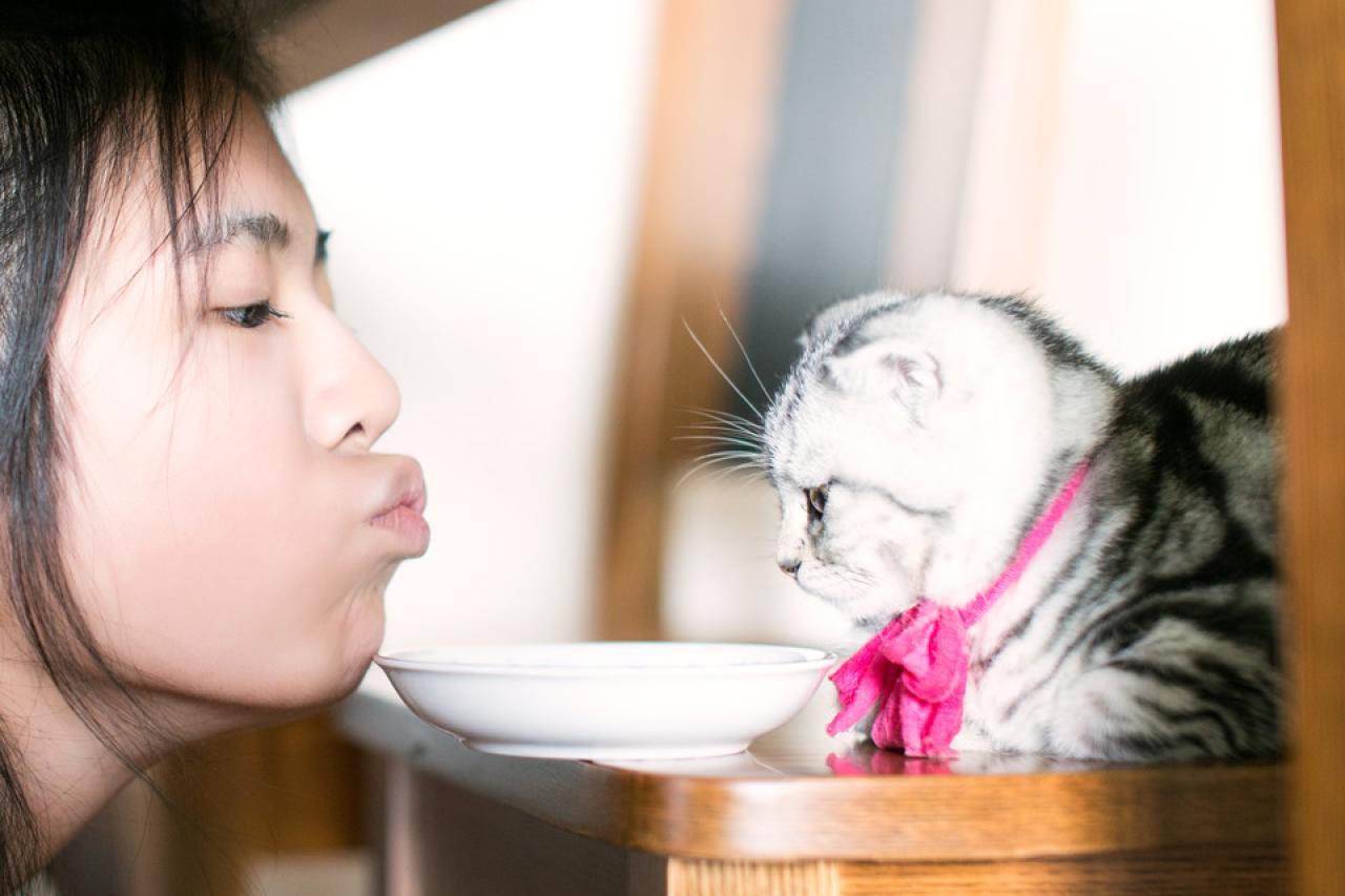 看着光秃秃的盘子，主人嘟嘴和猫咪相视