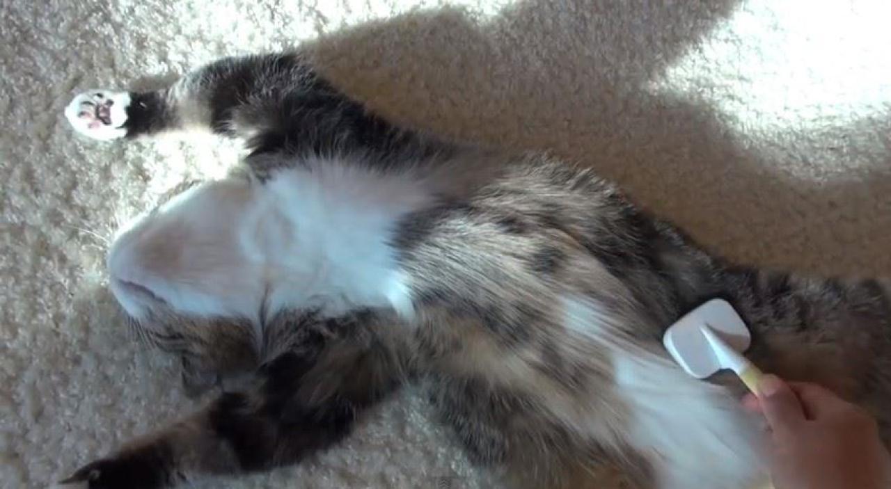 哥哥舒服的放松四肢