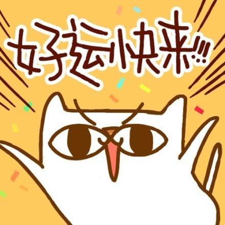好运喵转运萌头像：好运快来！！！