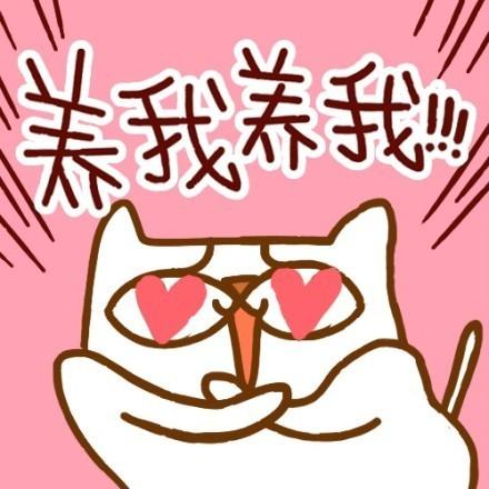好运喵转运萌头像：养我养我！！！