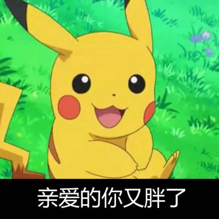 亲爱的，你又胖了