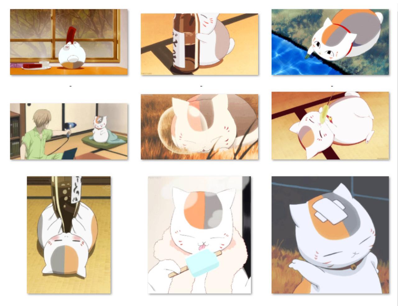 猫咪老师卖萌动态图 预览