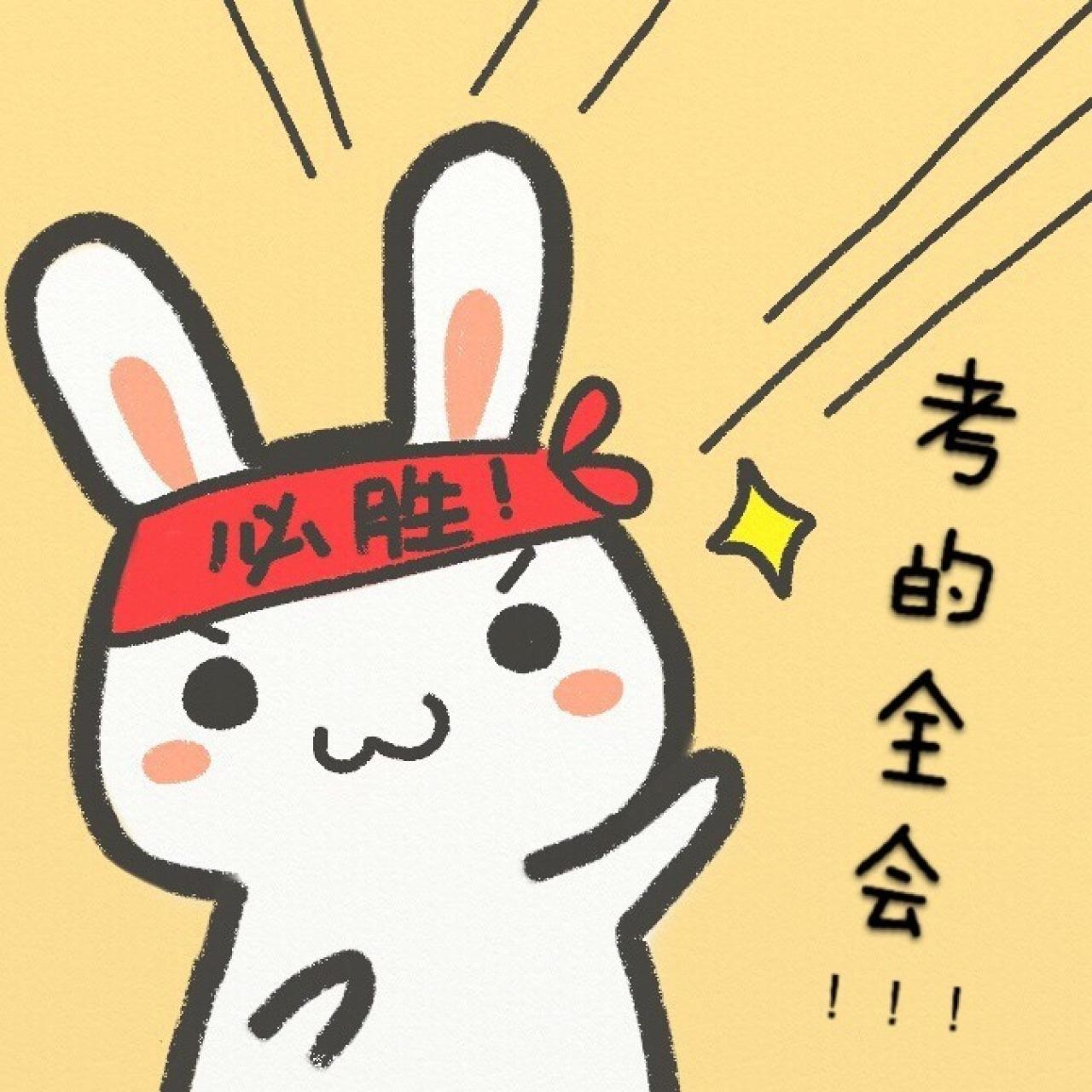 豆包兔兔兔“考的全会”头像