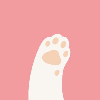 橘黄色肉垫粉色背景猫爪头像