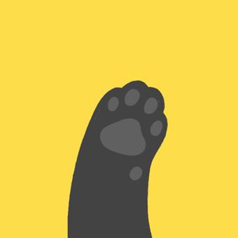 灰色肉垫黄色背景猫爪头像