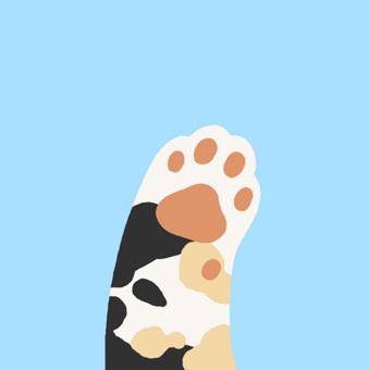 橙色肉垫蓝色背景猫爪头像