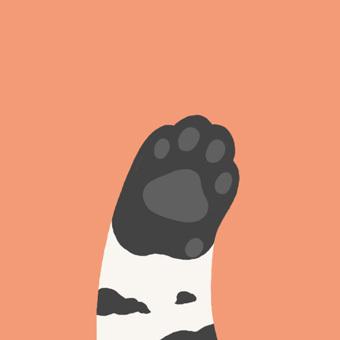 灰色肉垫橘红色背景猫爪头像