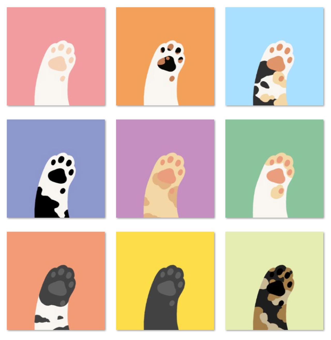 花小姐的时光机猫爪头像 预览图