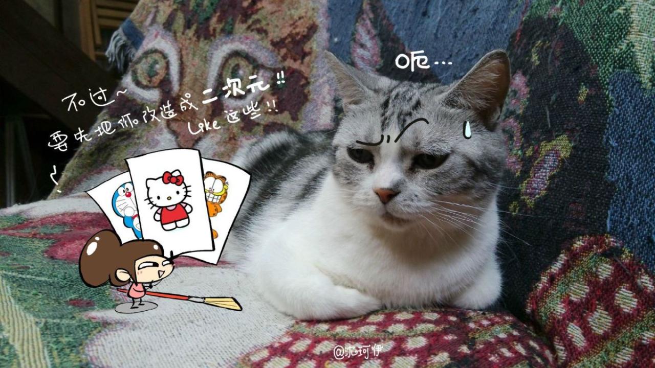 桃子向猫咪介绍二次元的猫咪形象