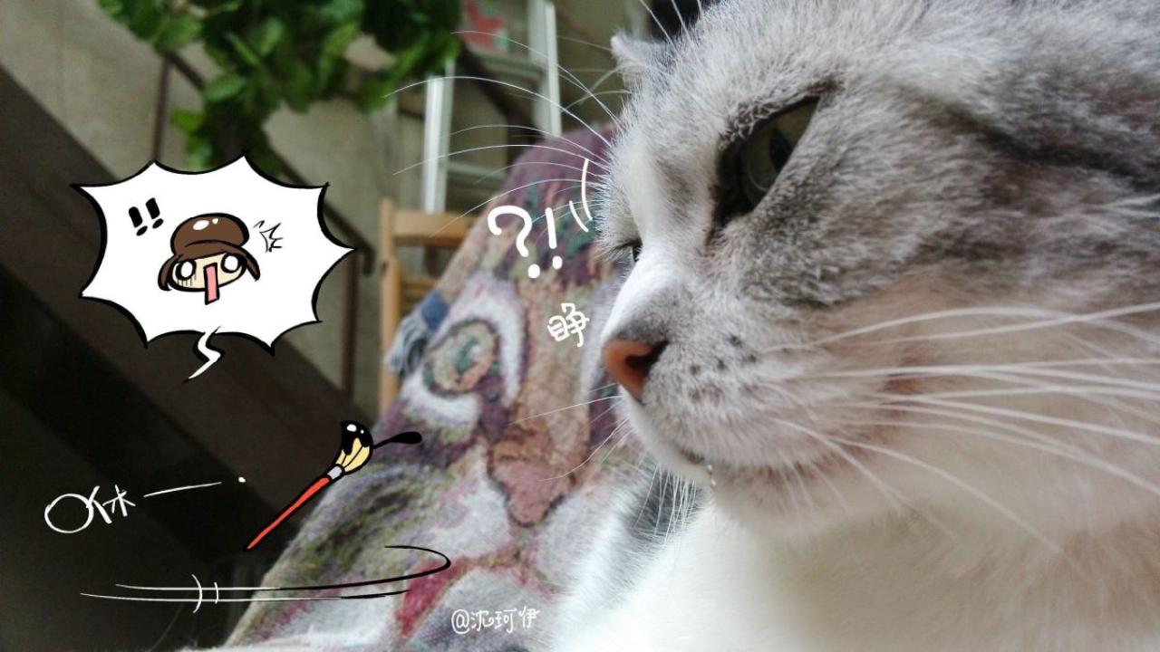 桃子丢掉画笔溜掉，猫咪疑惑地睁眼