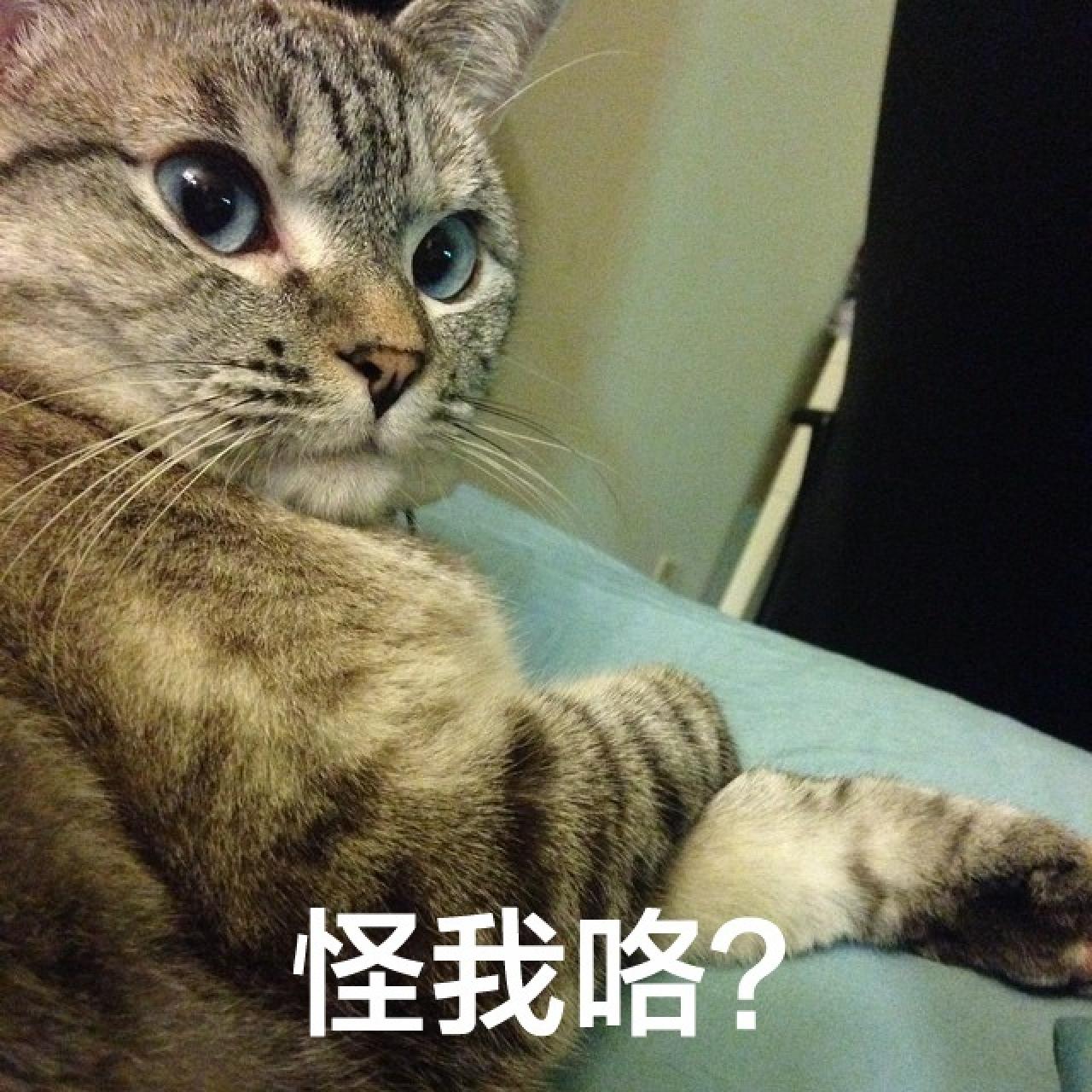 Nala回眸严肃的表情：怪我咯？